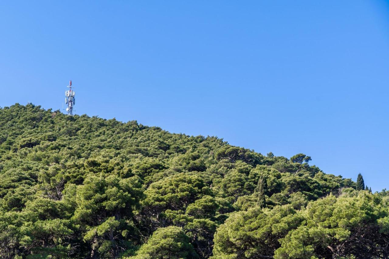 Apartment Dorica Dubrovnik Eksteriør bilde